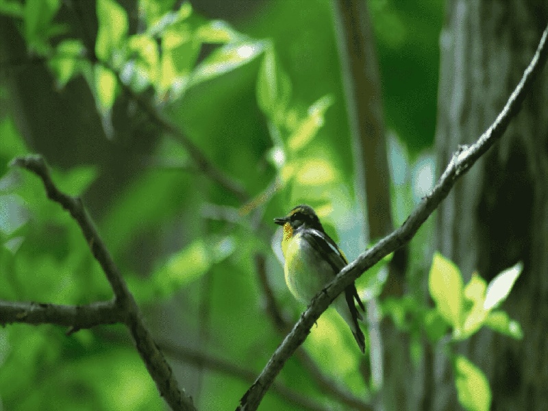 亚克力试管怎么加水试管选错医院失败南京试管尿液检查
